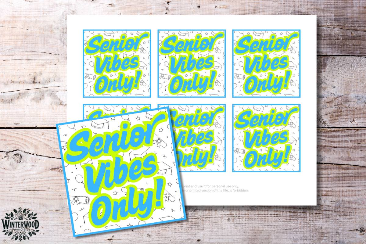 Senior Vibes Only Graduation Printable Gift Tags