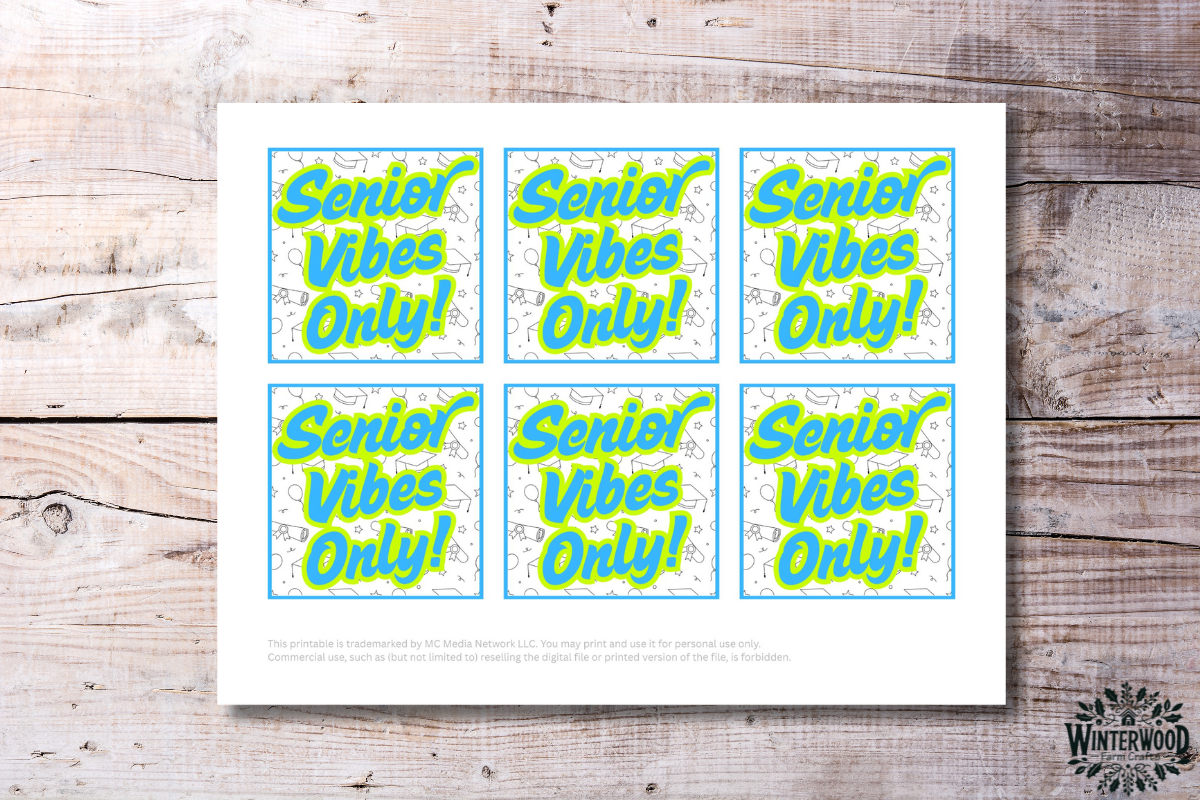 Senior Vibes Only Graduation Printable Gift Tags