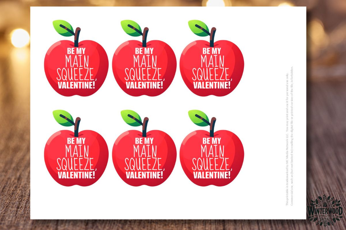 APPLESAUCE Valentine Gift Tag Cards