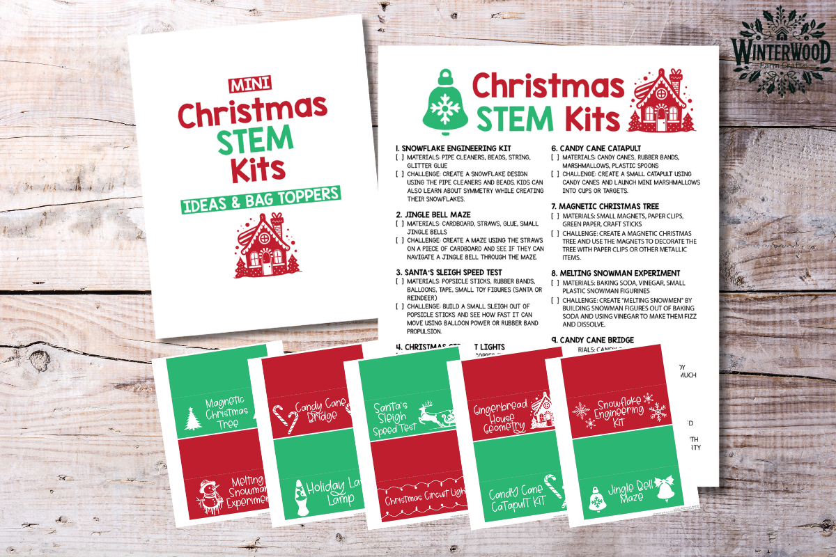 Christmas STEM Activity Printable Pack for Kids