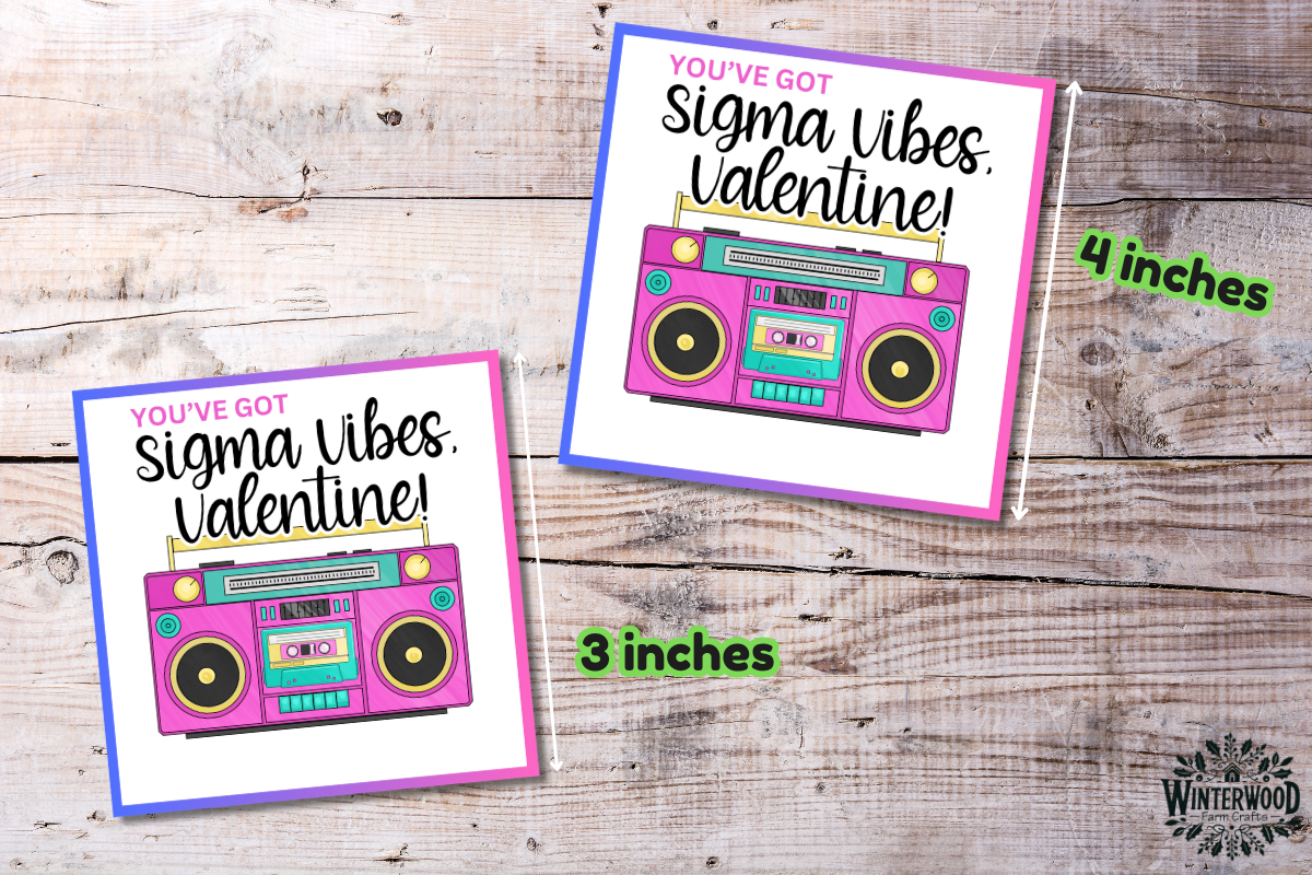 Sigma Vibes Retro Boombox Valentine